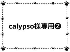 ⑩NC成犬 中型犬〜大型犬用 ラム 14kg❷ - メルカリ