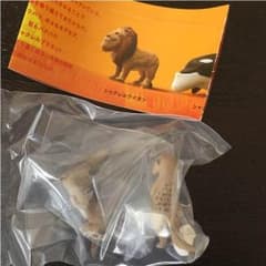 シャクレルプラネット ミーアキャットのサムネイル