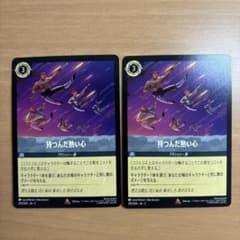 ロルカナ 持つんだ熱い心 2枚セット - メルカリ