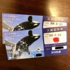 鴨川シーワールド チケットのサムネイル