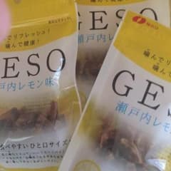 りえ様専用です。瀬戸内レモン味のGESO10袋とお菓子セット2のサムネイル
