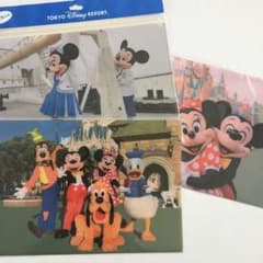 【最終値下げ】ディズニー　クリアファイル　実写　TDR 旧フェイスのサムネイル