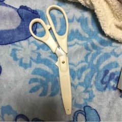 裁ち鋏のサムネイル