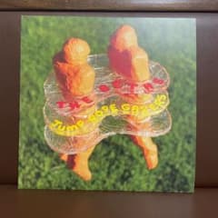 The Beths / Jump Rope Gazers LP レコードのサムネイル