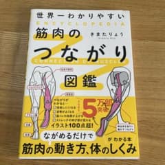 世界一わかりやすい 筋肉のつながり図鑑のサムネイル