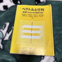 【Ryu様専用】ベクトルと行列 基礎からはじめる線形代数のサムネイル