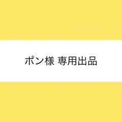 ポン様 専用出品のサムネイル