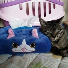 ニコちゃん様専用のサムネイル