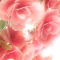 ❤️ティナ様❤️専用のサムネイル