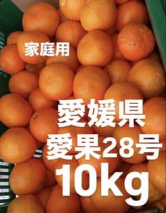 愛媛県産 家庭用 愛果28号 柑橘 10kg - メルカリ