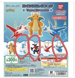 ポケットモンスター スイングコレクション Type:Dragonのサムネイル