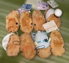 카피바라씨 봉제인형 8체 세트 별님 베이커리 벚꽃 태그 첨부