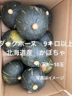 かぼちゃ 箱込み約9キロのサムネイル