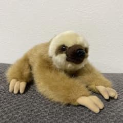 ナマケモノ Amazon.co.jp: ナマケモノ ぬいぐるみ Mサイズ マグネット付き : おもちゃ