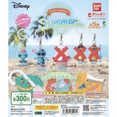 ディズニー めじるしアクセサリー Summerのサムネイル