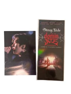 【Stray Kids 】domin Experience フォトカードセットのサムネイル