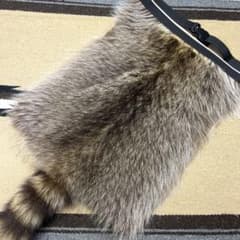 極上特大ラクーン 尻あて腰当尻皮 登山 スキー キャンプ ヒップガード