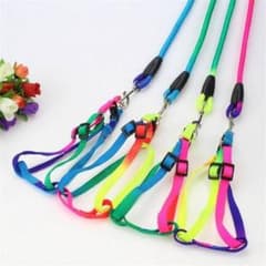 犬用リード＆ハーネス2点セットのサムネイル