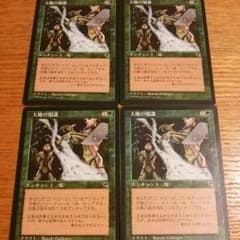 MTG 大地の知識のサムネイル