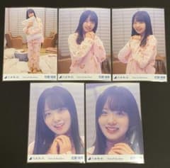 m31903186513_1.jpg?1697031738