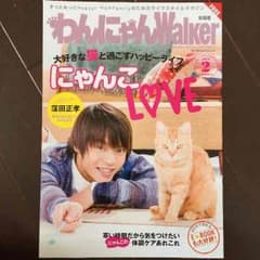 窪田正孝 わんにゃんWalkerのサムネイル