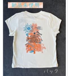 The North Face 半袖Tシャツ　Mサイズのサムネイル