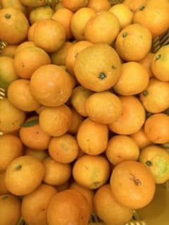 和歌山有田産　A級品ゆら早生みかん10kgのサムネイル