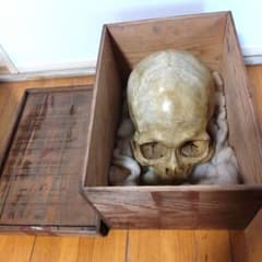 m31918156677_1.jpg?1766212643