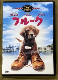 廃盤　希少　フルーク DVD ディスク美品