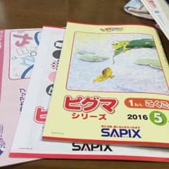 ピグマ  4月22日到着のサムネイル