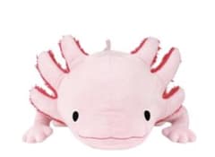 わくでかぬいぐるみ　珍獣捕獲シリーズ　メガ　ウーパールーパー