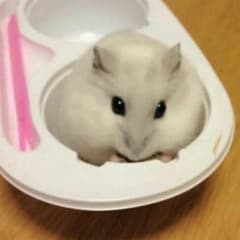 kiara様専用✨のサムネイル