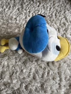 ドナルドの帽子のサムネイル