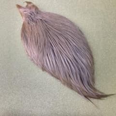 ショルダー(タイイング)のサムネイル