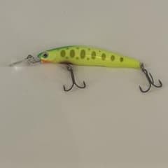 バスディシュガー2／3ディープSG85Fのサムネイル