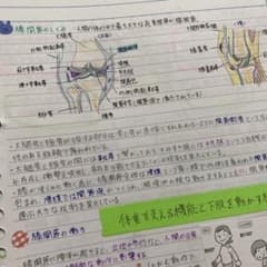 看護師国家試験にでる！整形分野のサムネイル