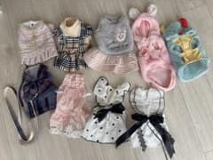 犬用服 ハーネス リード 9点まとめ売りのサムネイル