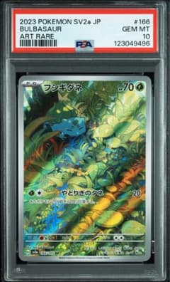 m31946181552_1.jpg?1760275692