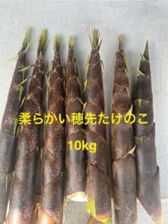 柔らかい穂先たけのこのサムネイル