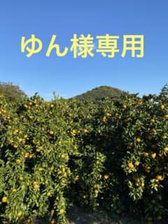 此方は専用です！のサムネイル