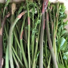 秋田産山菜シオデ( ´ ▽ ` )そろそろ終わりですのサムネイル