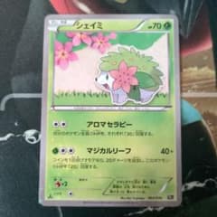ポケモンカード シェイミ CP5 (幻・伝説ドリームキラコレクション ) シェイミ(キラ) 買取 | [CP5] 幻・伝説ドリームキラコレクション