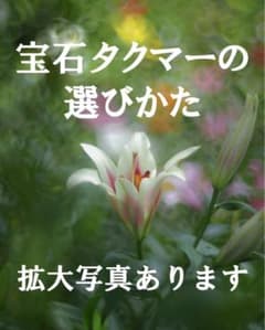 宝石レンズ_SMC_Takumar 55mm_f1.8_ax - メルカリ