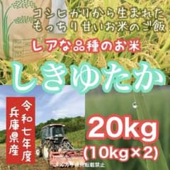 レア品種 シキユタカ☆兵庫県産新米 湧き水育ち農家のお米 20kg(10kg×2