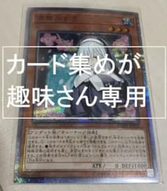 遊戯王 20thシークレットレア　儚無みずきのサムネイル