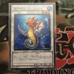 【遊戯王】たつのこのサムネイル