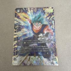 ベジット (SCR) FB10-121のサムネイル