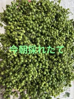 山椒500g①のサムネイル