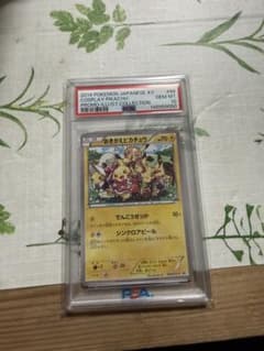 おきがえピカチュウ PROMO XYシリーズプロモーションカード PROMO おきがえピカチュウ PROMO XYシリーズプロモーションカード PROMO