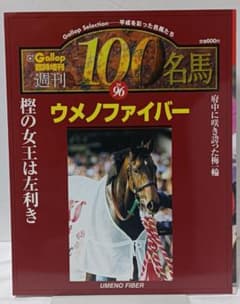 Gallop 臨時増刊 週刊100名馬 Vol.96 ウメノファイバー - メルカリ